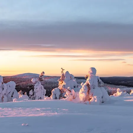 Daire In Lapland - Levihovi 6a Levi